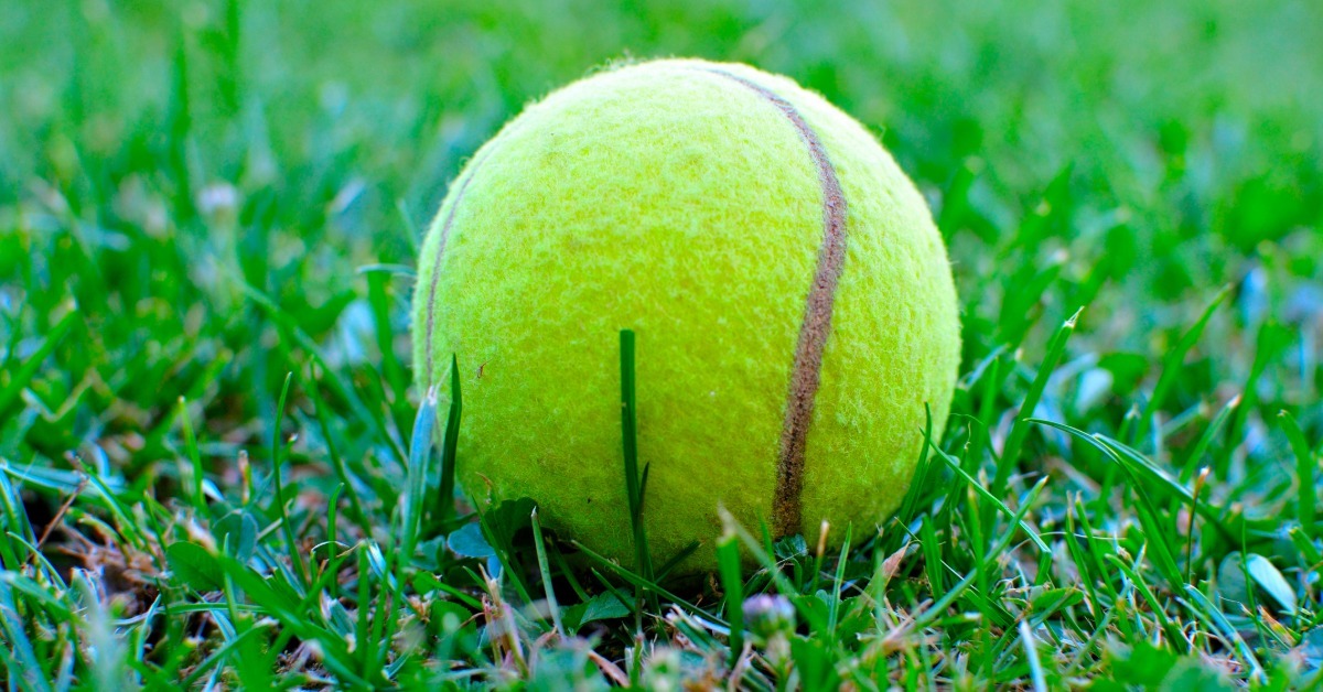 A yellow tennis ball sits on a grassy field. The green grass surrounds the tennis ball, poking it with its blades.